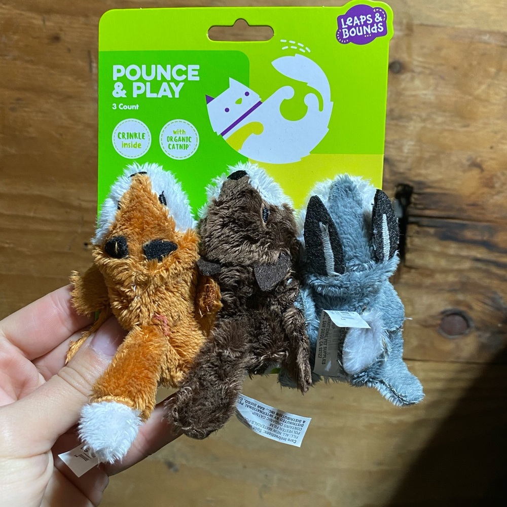 Pounce and Play Cat Toys